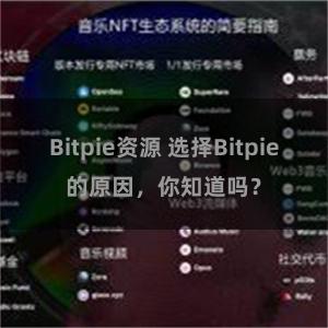 Bitpie资源 选择Bitpie的原因，你知道吗？