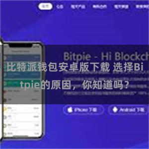 比特派钱包安卓版下载 选择Bitpie的原因，你知道吗？